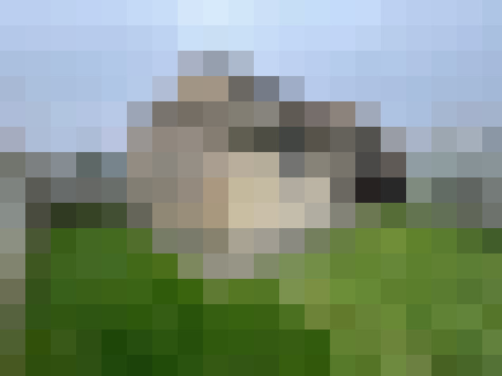 Image 14