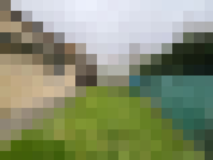 Image 15