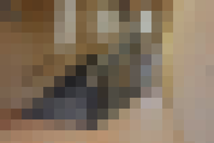 Image 15
