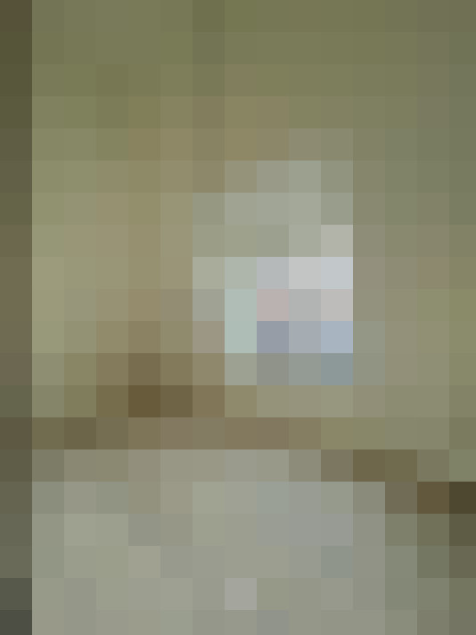 Image 13