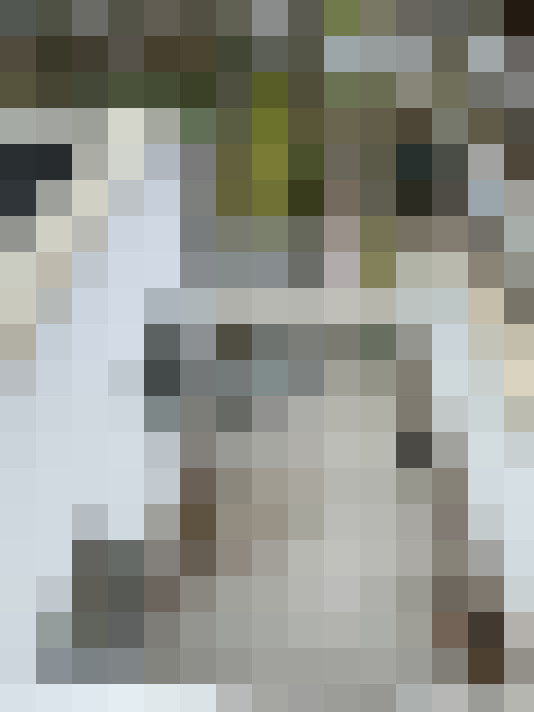 Image 16