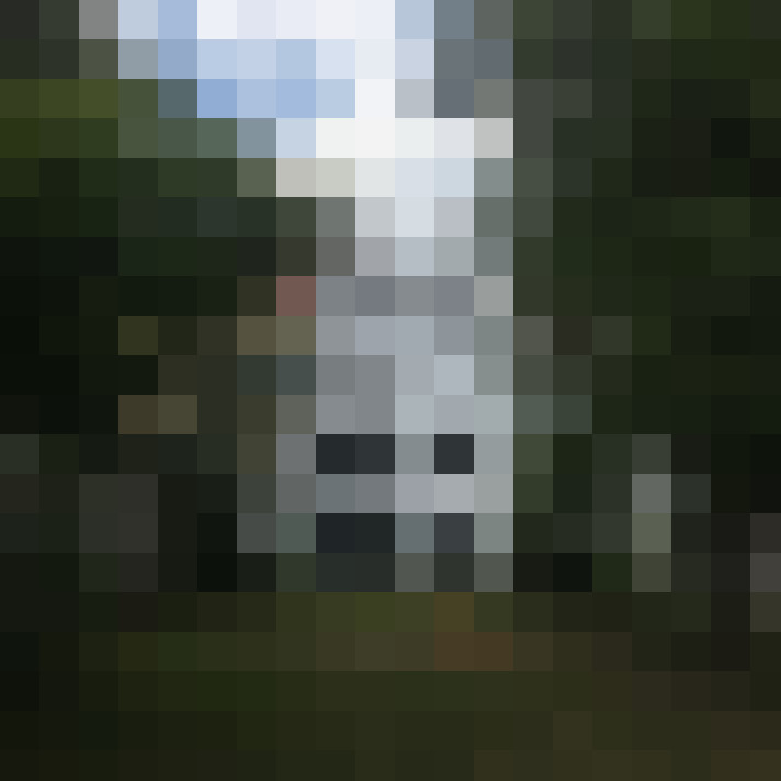 Image 21