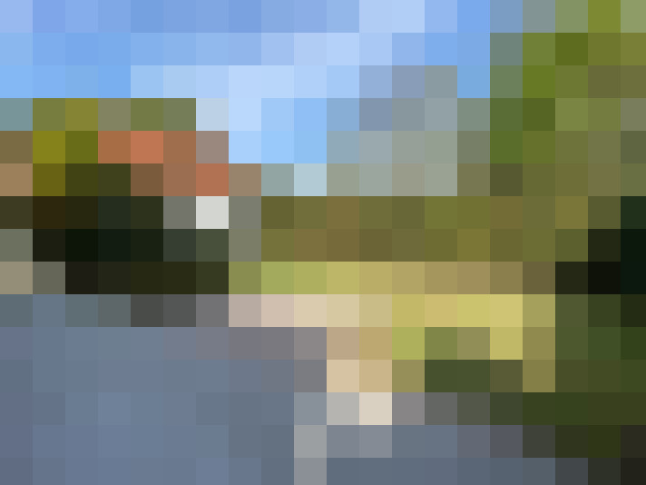 Image 14