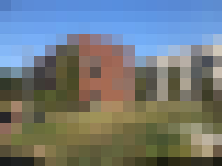 Image 22
