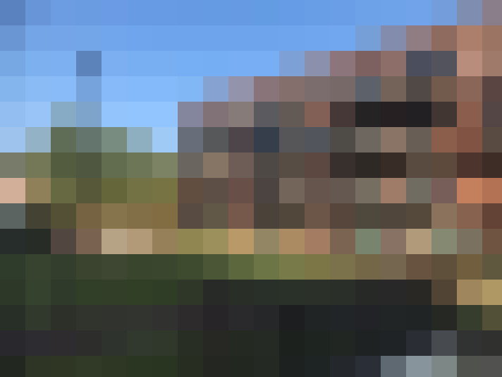 Image 20