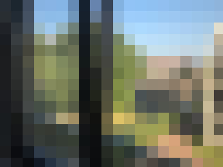 Image 15
