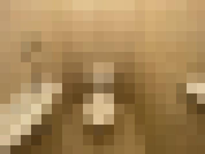 Image 15