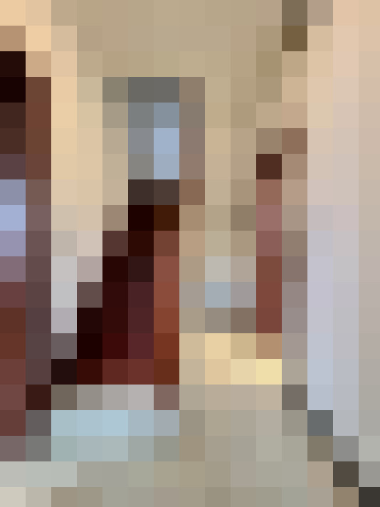 Image 13