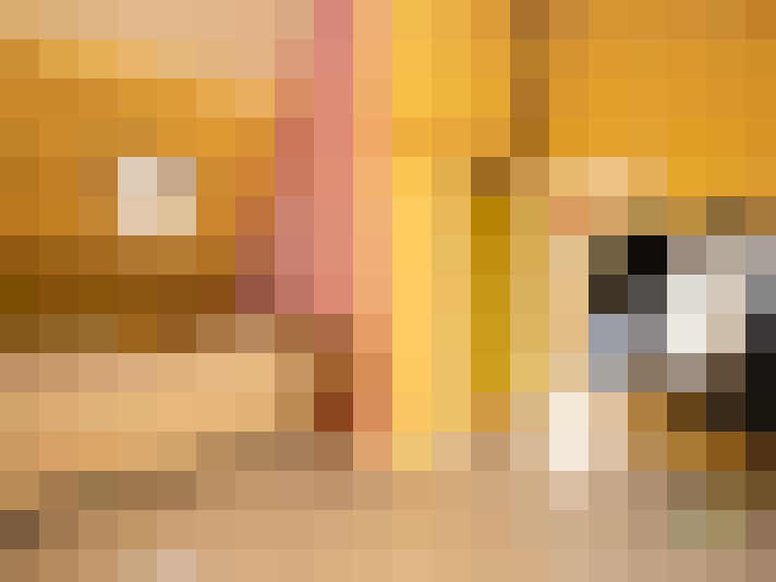 Image 17