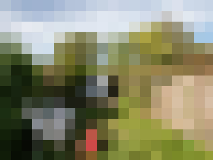 Image 20