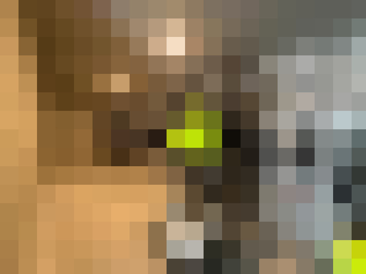 Image 16