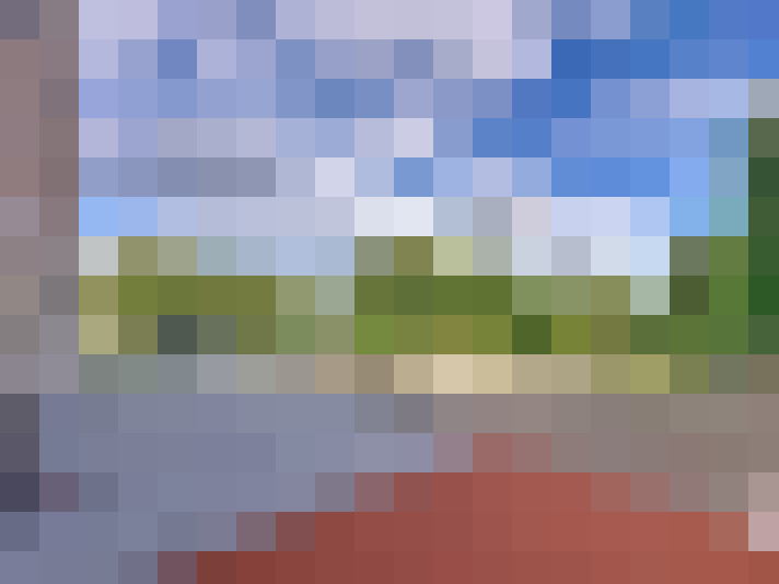 Image 16