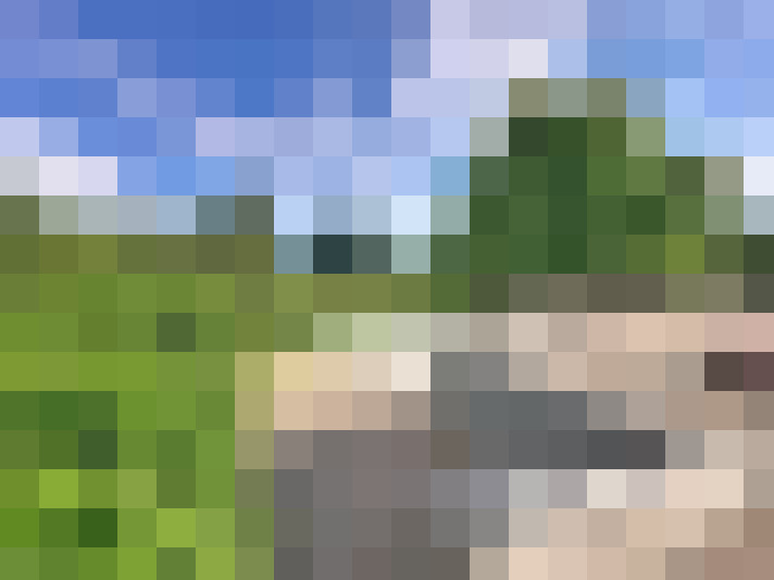 Image 17