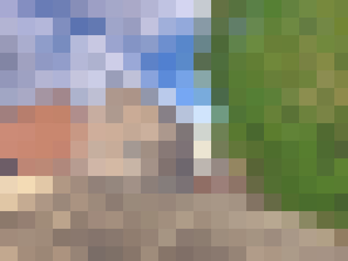 Image 18