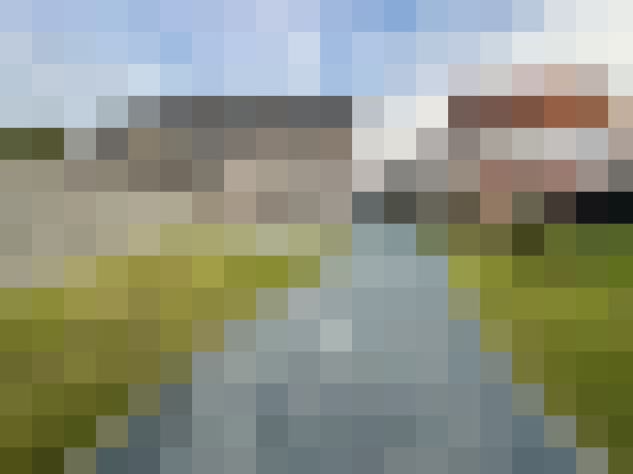 Image 14