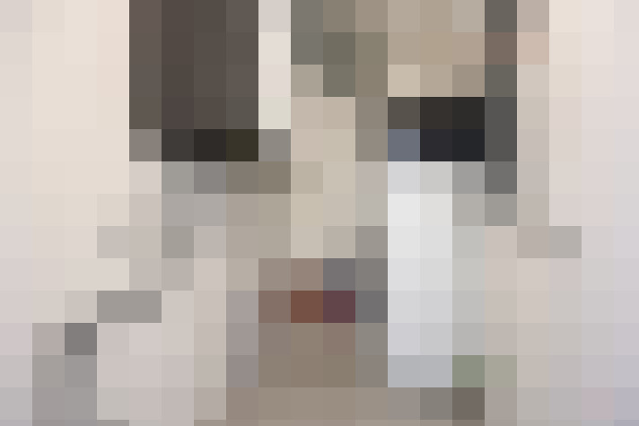 Image 27