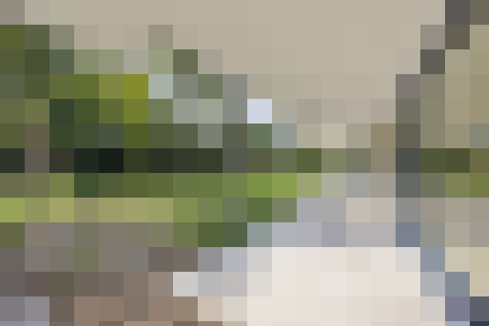 Image 25