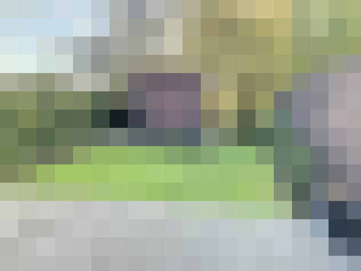 Image 22