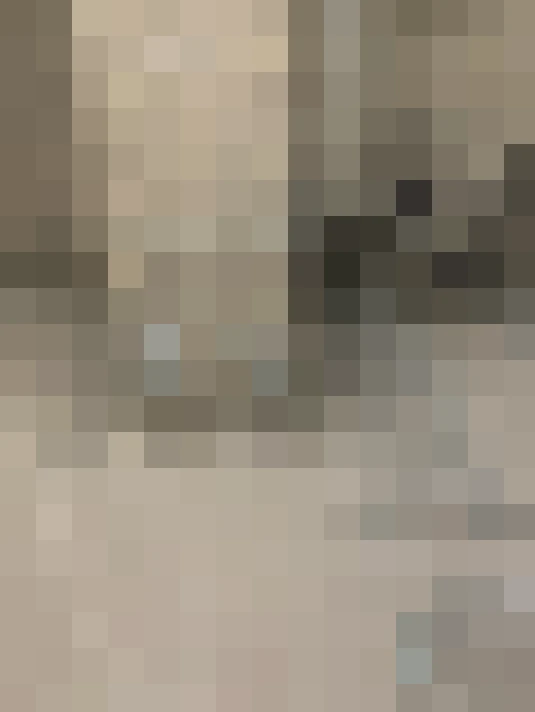 Image 16