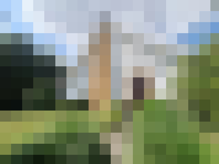 Image 20