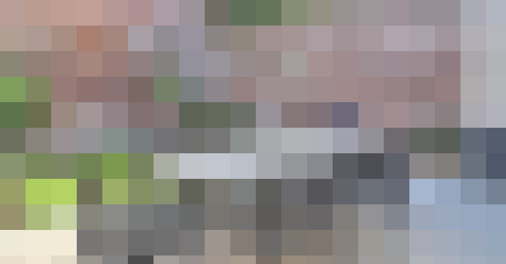 Image 17