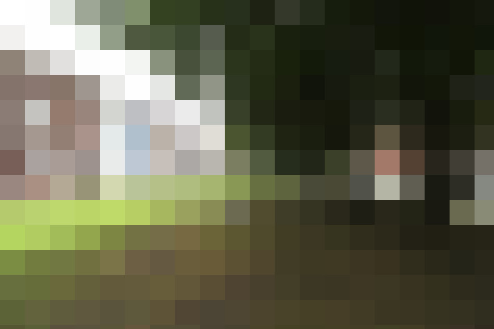 Image 17