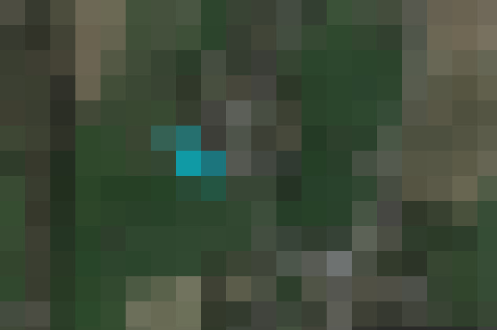 Image 18