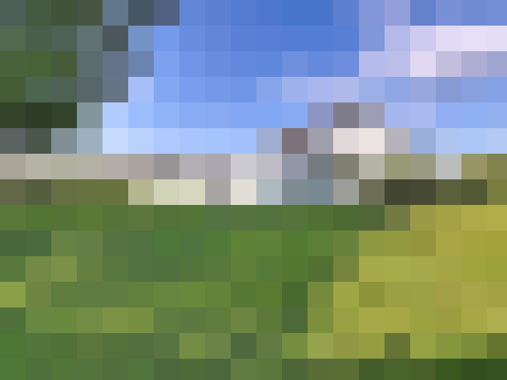 Image 15