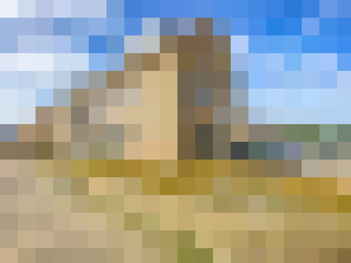 Image 17