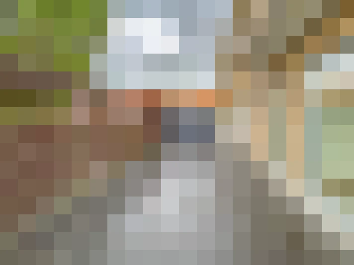 Image 14