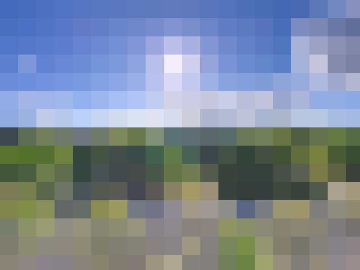Image 16