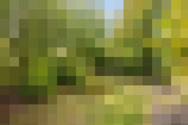 Image 39