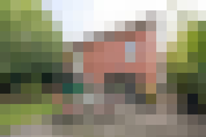 Image 36
