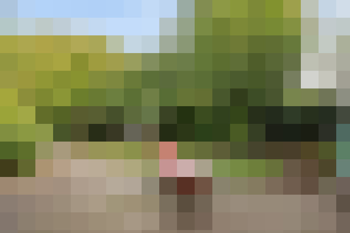 Image 35