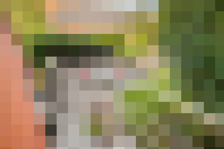 Image 32