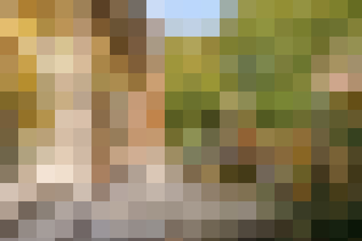 Image 37