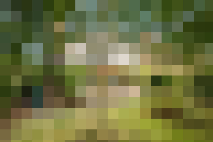Image 38