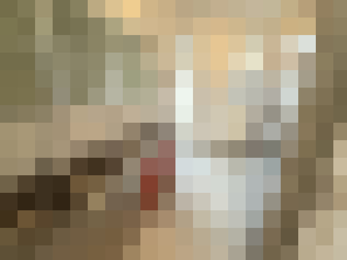 Image 13