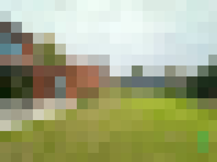 Image 23