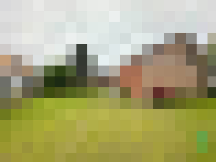 Image 24
