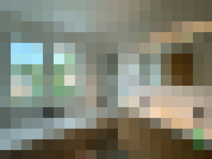 Image 17