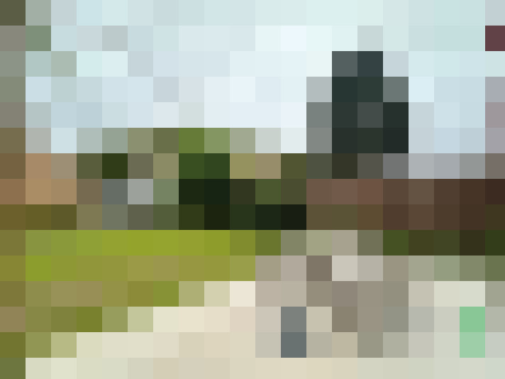 Image 22