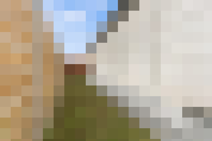 Image 20