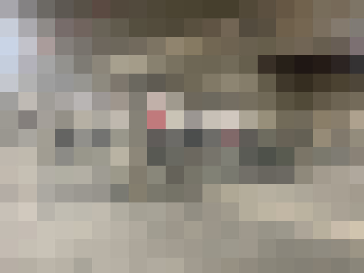 Image 23
