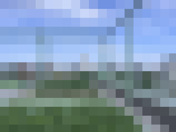Image 13