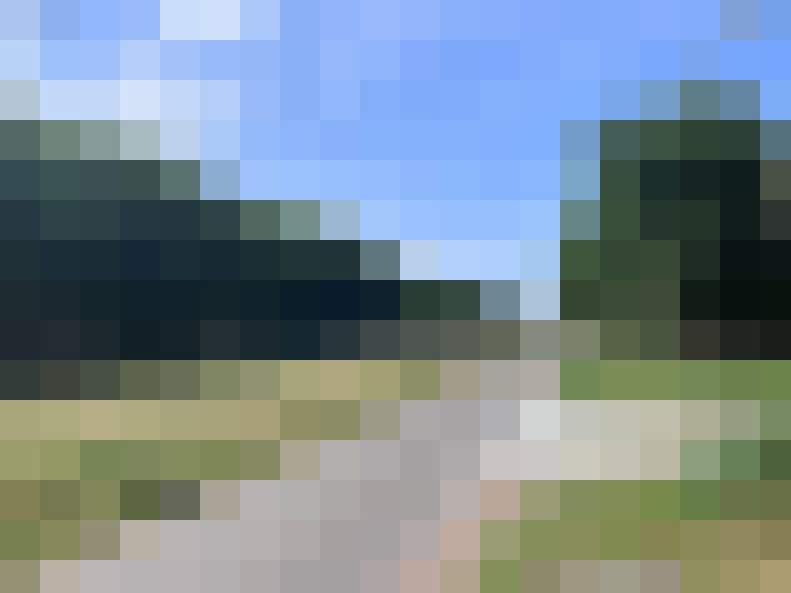 Image 25