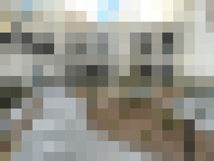 Image 13
