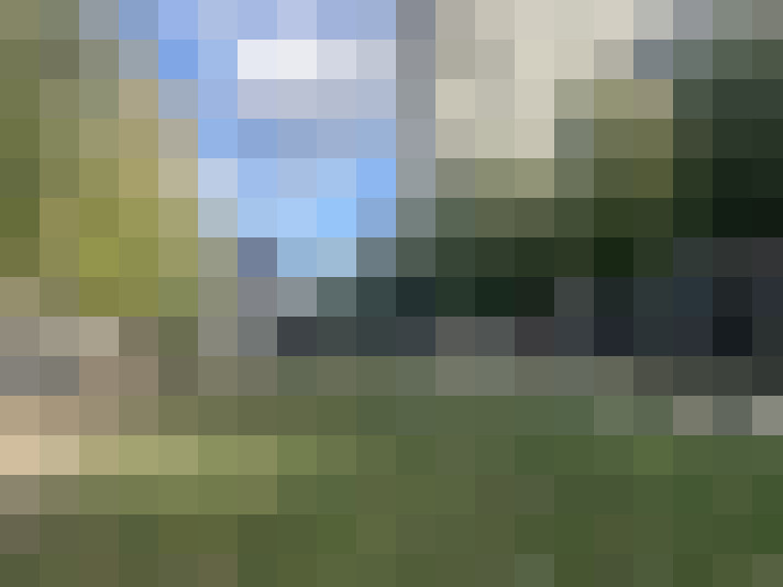 Image 17