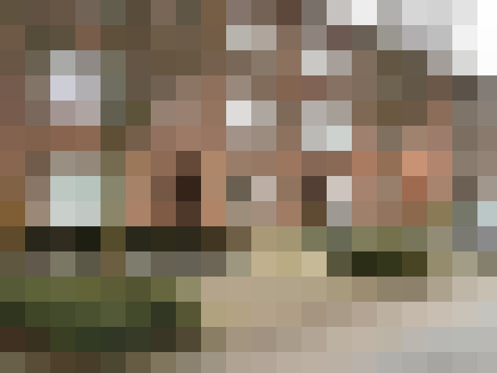 Image 14