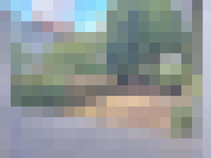 Image 32